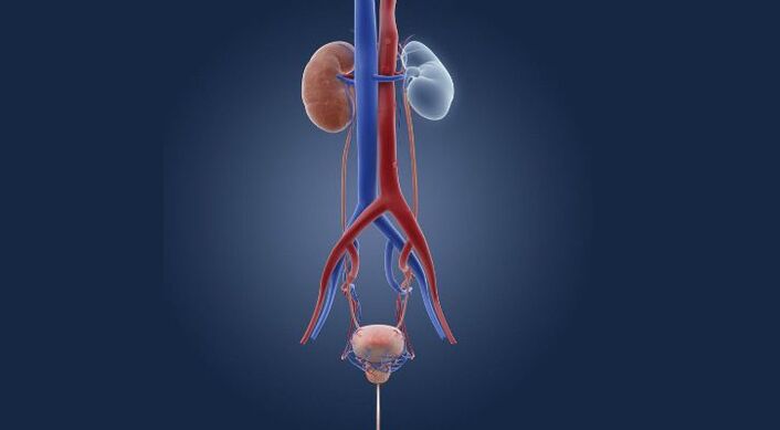 cystitis nom Geschlecht